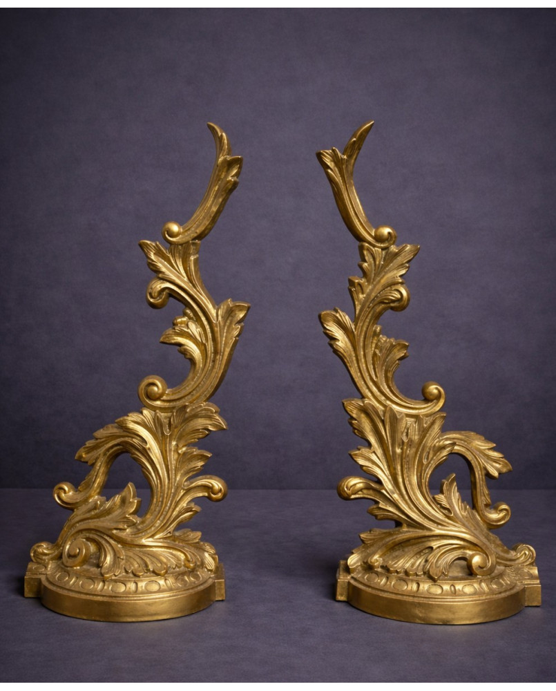 Le village de 58 brocanteurs - Paire de chenets / ornements décoratifs en bronze – Style Louis XV / Rocaille